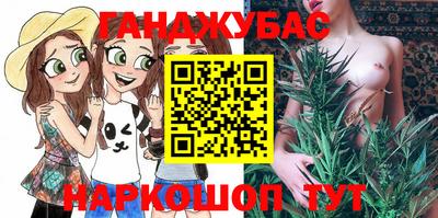 стафф Гатчина