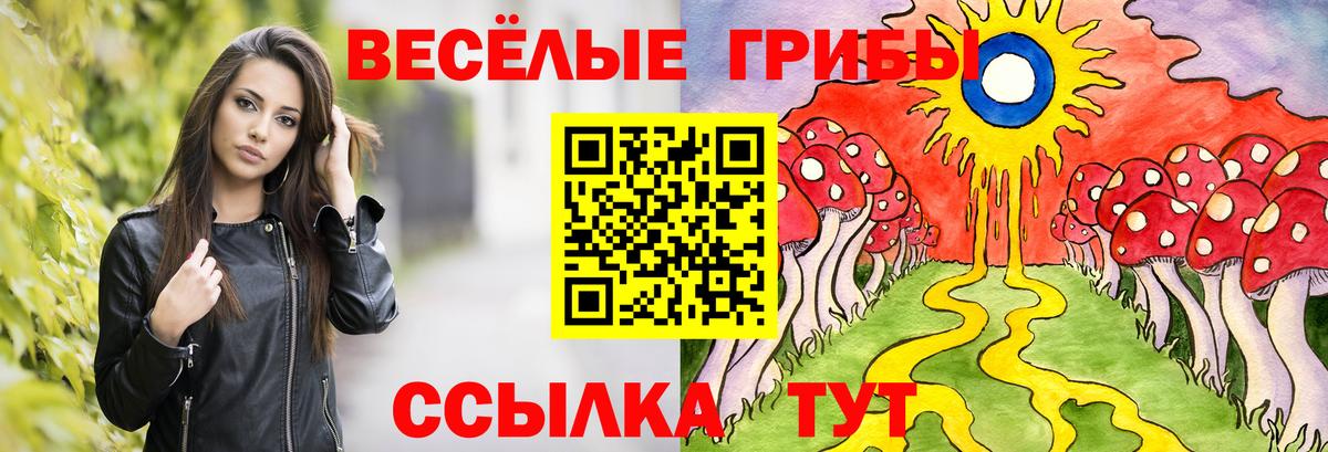 Псилоцибиновые грибы прущие грибы  продажа наркотиков  Гай  Галлюциногенные грибы прущие грибы  Вход с VPN 