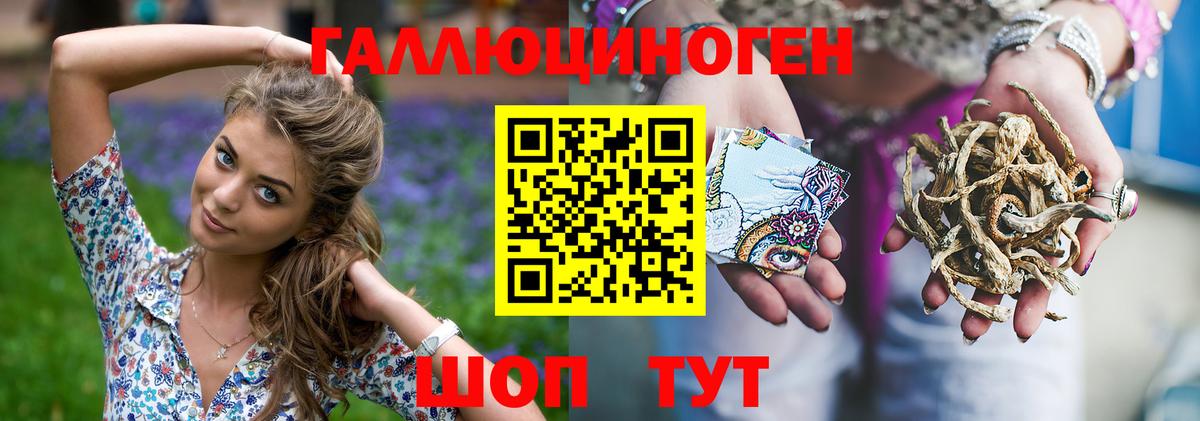 Псилоцибиновые грибы ЛСД Гай